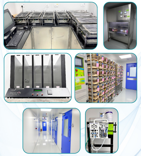 Service Image